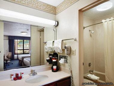 Ramada New Braunfels Hotell Rum bild